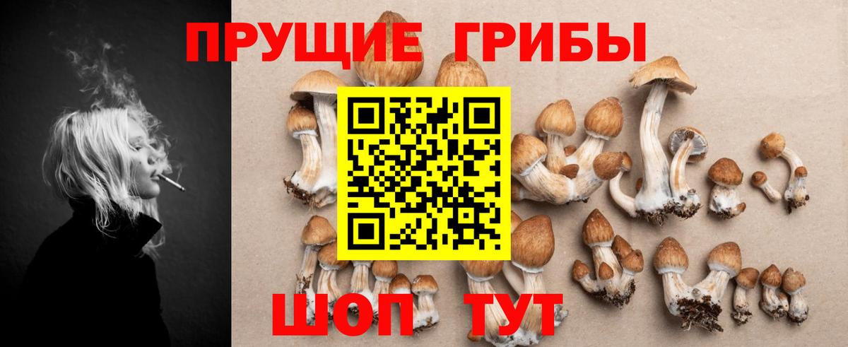 Улан-Удэ  Галлюциногенные грибы Cubensis  Вход с VPN 